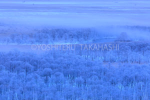 霧氷の釧路湿原