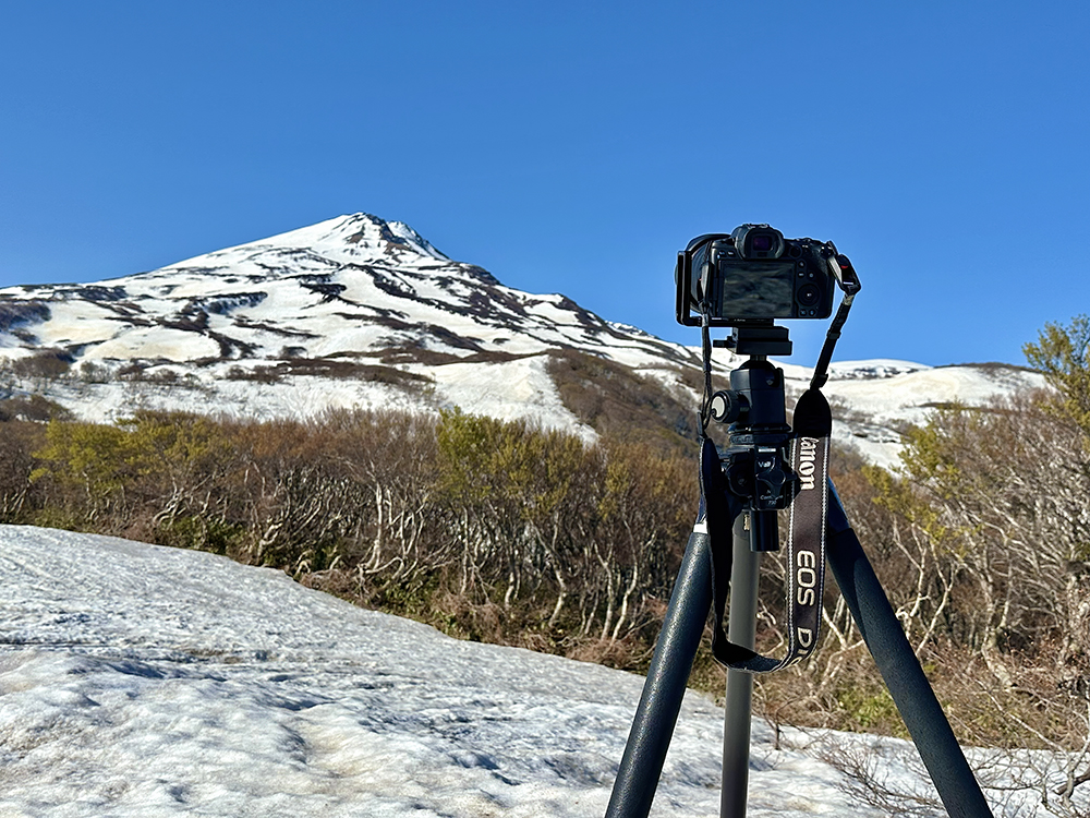 マーキンス 自由雲台 アルカスイス互換プレート