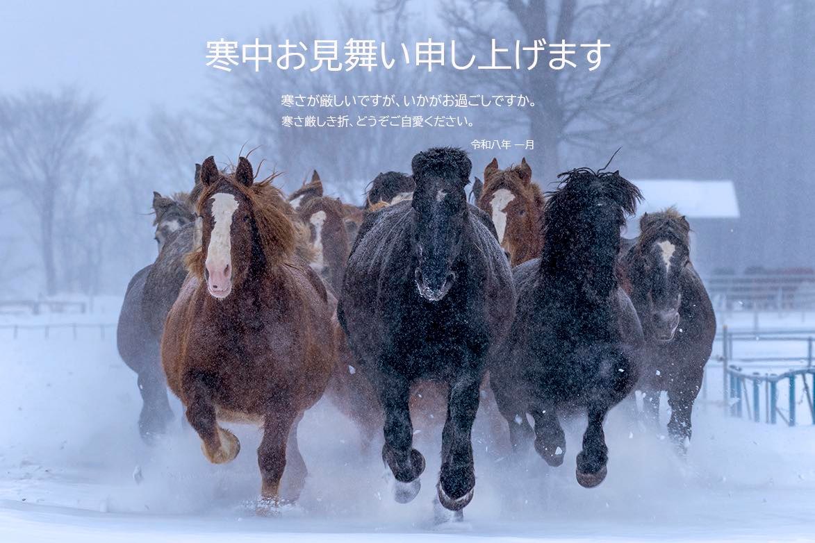 風景写真家 高橋よしてる 午年 馬の写真