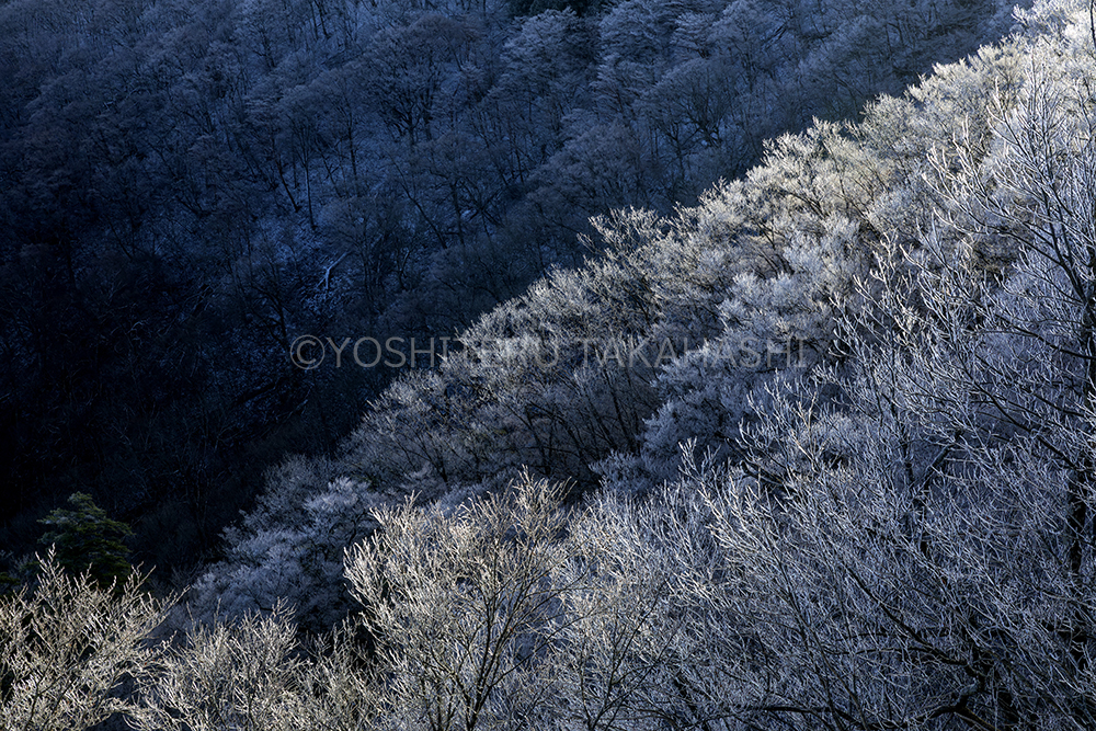 霧氷 - 大和連山 | 奈良県